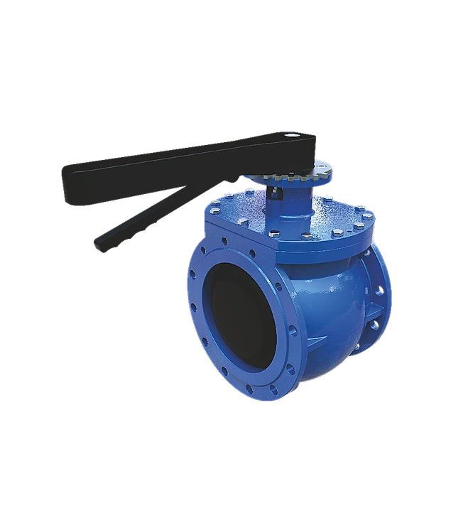 Eccentric Plug Valves